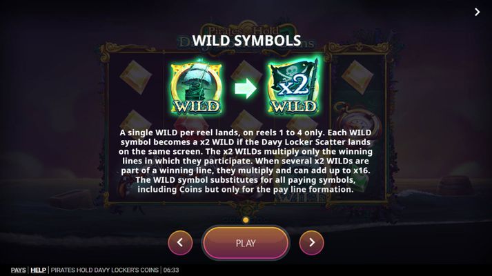 Wild Symbol