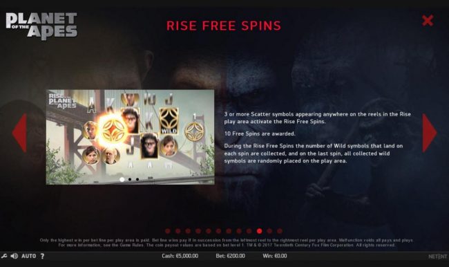 Rise Free Spins Rules
