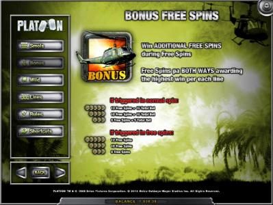 bonus free spins feature rules