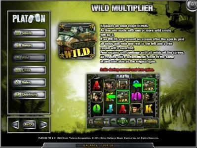 wild multiplier rules