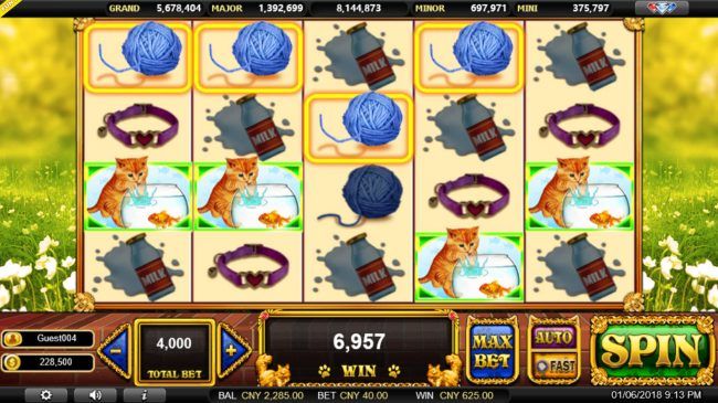Multiple winning paylines