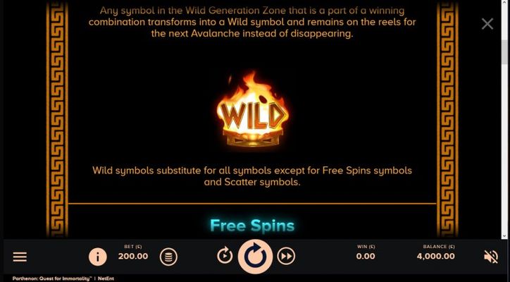 Wild Symbol Rules