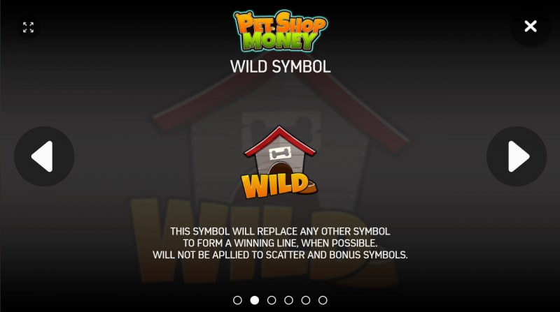 Wild Symbols Rules