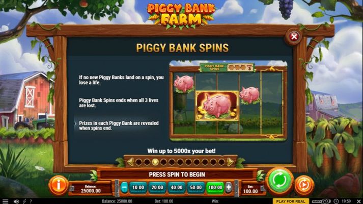 Piggy Bank Farm :: Feature Rules