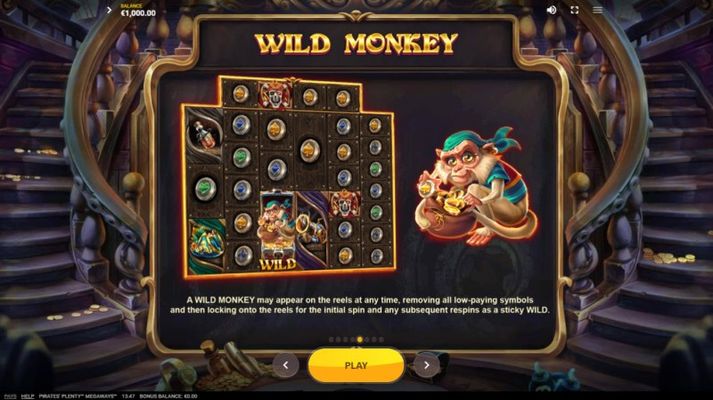 Wild Monkey