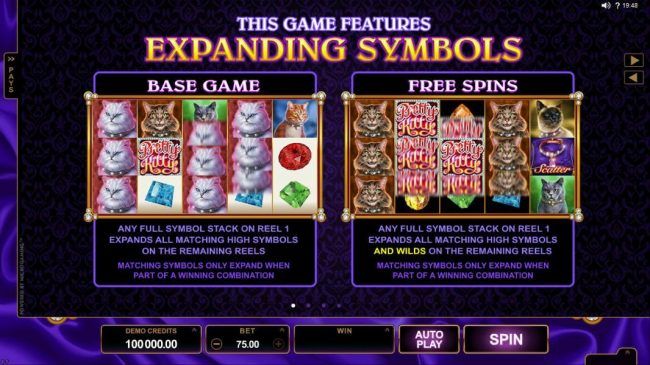 This game features expanding symbols in base game and free spins.