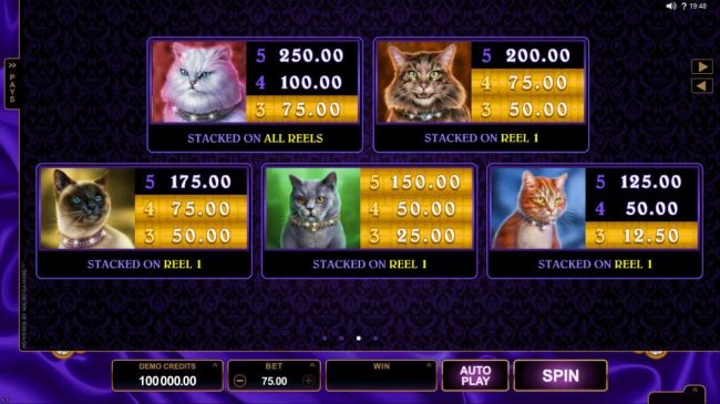 High value slot game symbols paytable