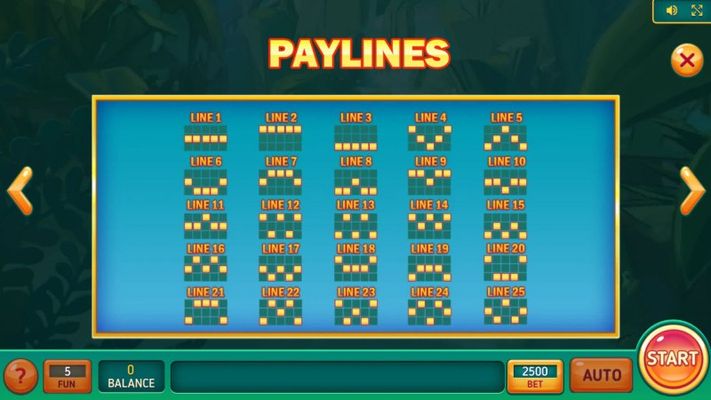 Paylines 1-25