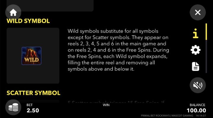 Wild Symbol