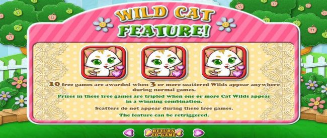 Wild Cat Feature Rules