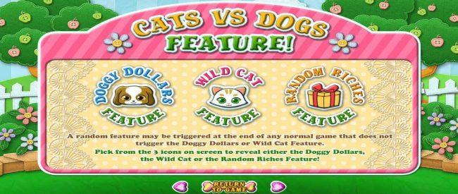 Cat Vs Dog Feature Rules