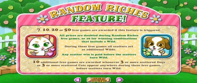 Random Riches Feature Rules