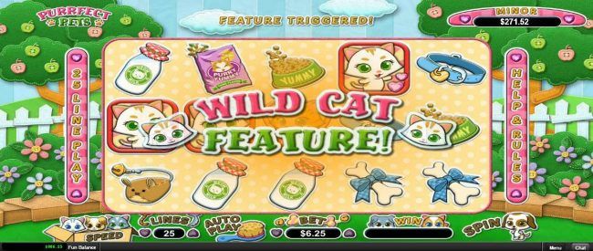 Wild Cat Feature Triggered