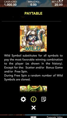 Wild Symbol