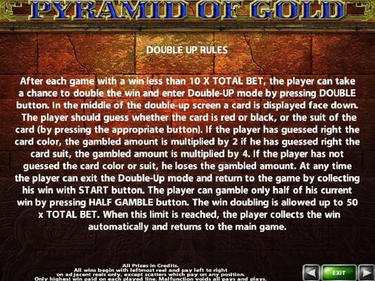 Double Up Gamble Feature Rules