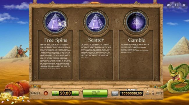 Free Spins, Scatter Symbol and Gamble Feature Rules