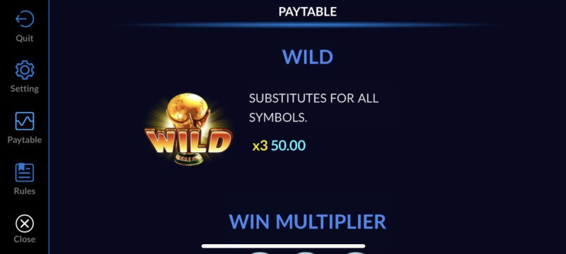 Wild Symbol