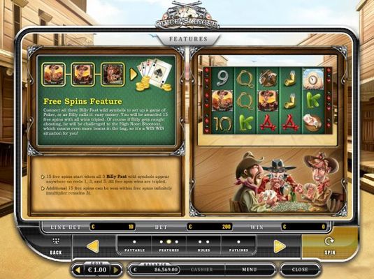 Free Spins Feature Rules