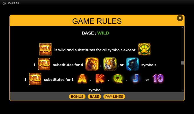 Wild Symbol