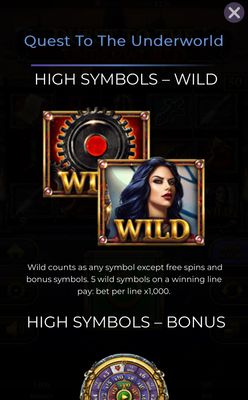 Wild Symbol
