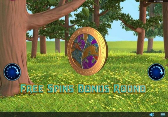 Free Spins Bonus Round activated