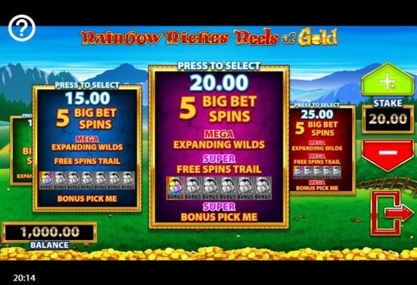 You have four different bet options to choose from when playing the Big Bet feature.