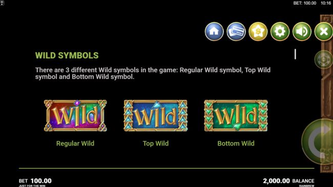 Wild Symbol Rules