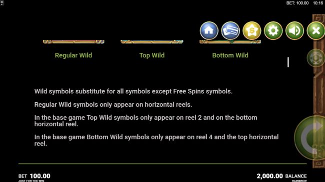 Wild Symbol Rules