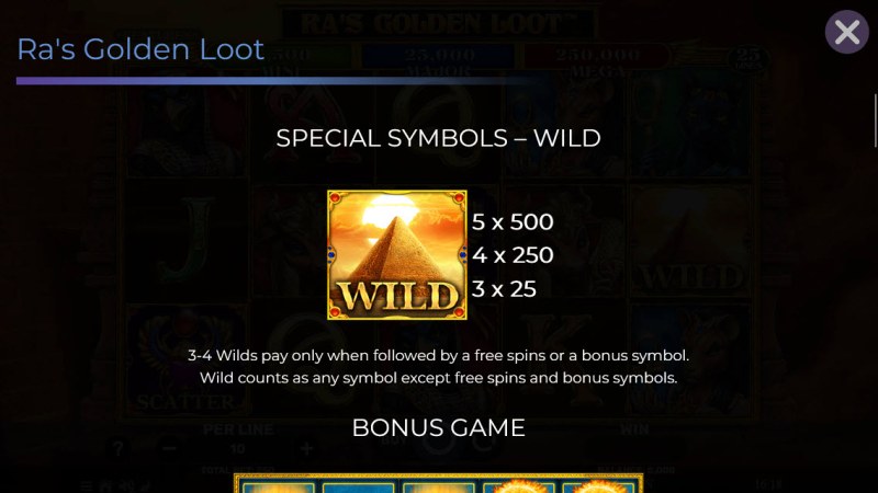 Wild Symbol