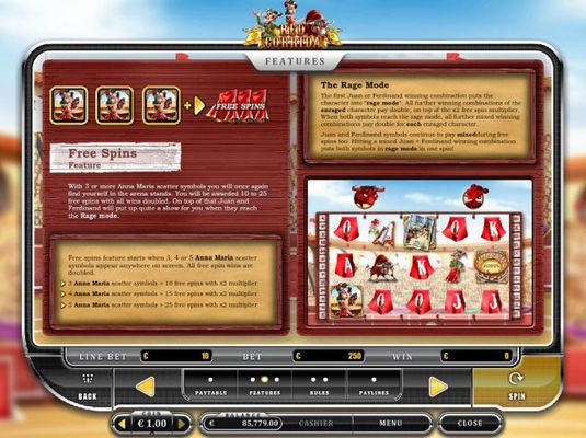 Free Spins Feature Rules