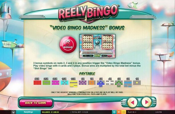 Video Bingo Madness Bonus Rules