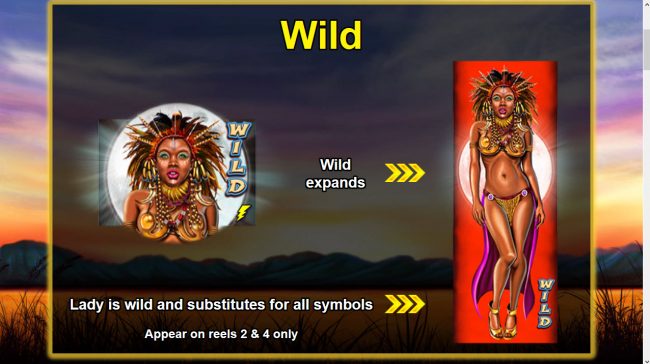 Wild Symbol Rules