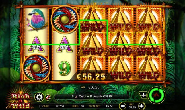 Multiple winning paylines