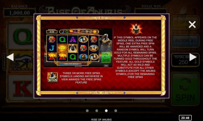 Free Spins Feature Rules