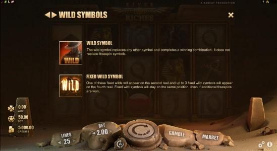 Wild symbol and fixed wild symbol game rules.