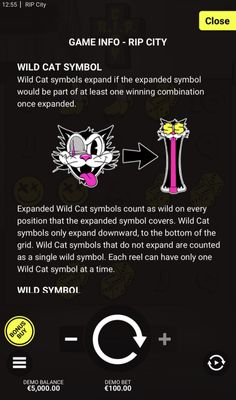 Wild Symbol