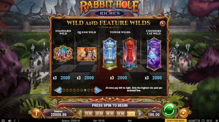Rabbit Hole Riches :: Wild Symbols Rules
