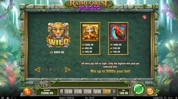 Rainforest Magic :: Paytable - High Value Symbols