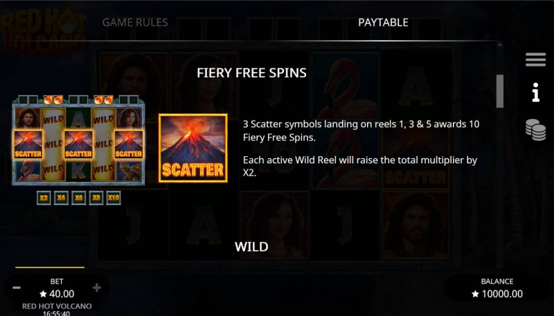 Free Spin Feature Rules