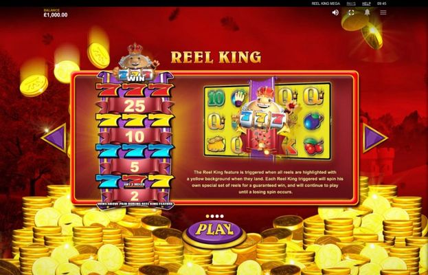 Reel King Mega :: Feature Rules