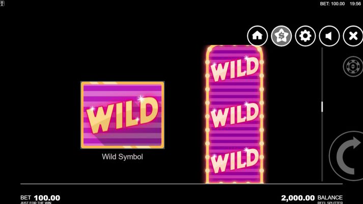 Wild Symbols Rules