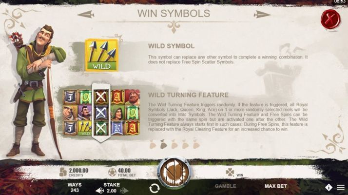 Wild Symbols Rules