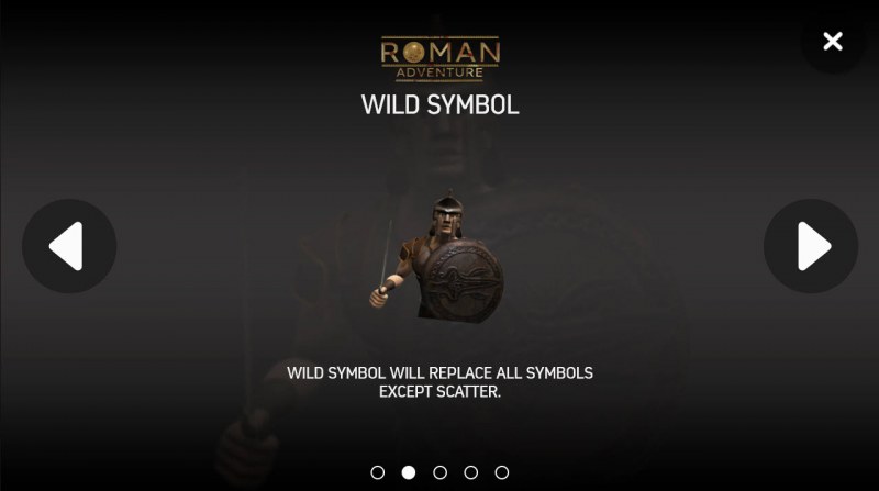 Wild Symbols Rules