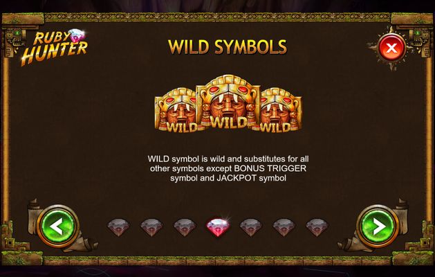 Wild Symbols Rules