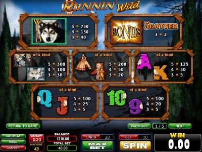 wild, scatter and slot symbols paytable