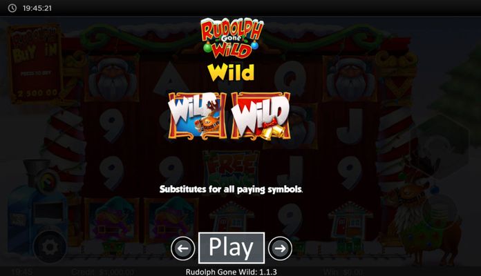 Wild Symbol