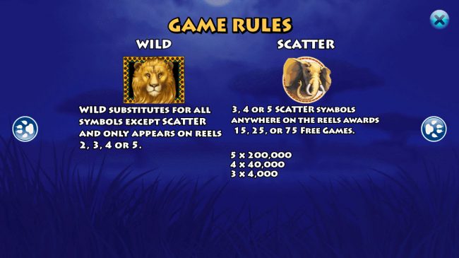 Wild and Scatter Symbol Rules