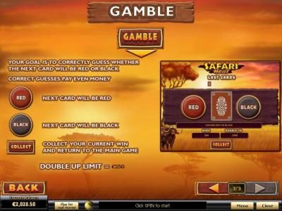 Gamble Feature Games Rules and How to Play.