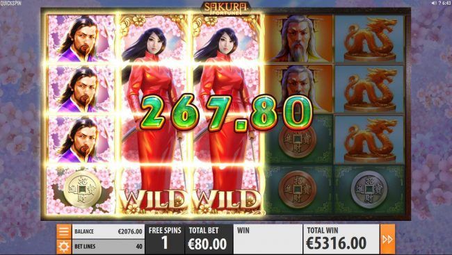 Multiple winning paylines triggers a big win while playing the free spins feature!