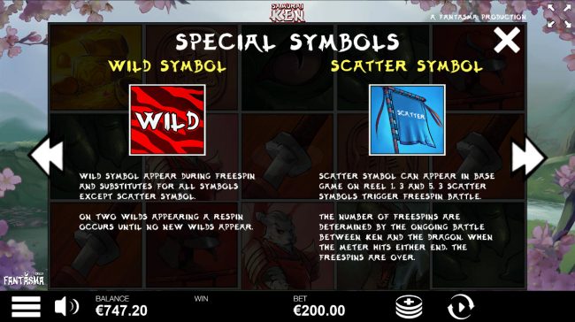 Wild and Scatter Symbol Rules